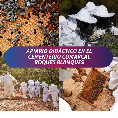 Áltima Servicios Funerarios