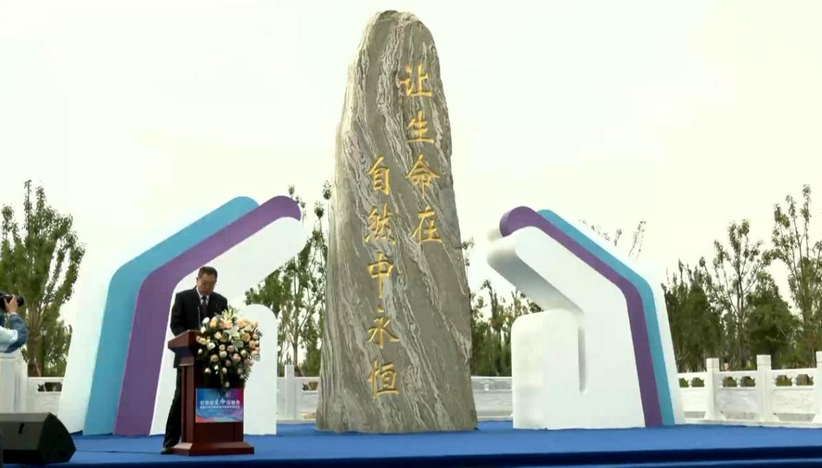 2023