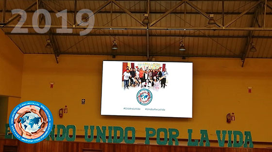 2019
