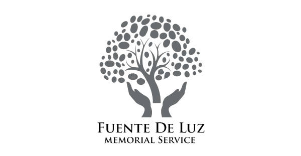 Fuente De Luz Bn